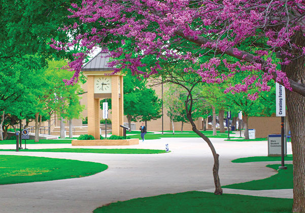 AMARILLO COLLEGE